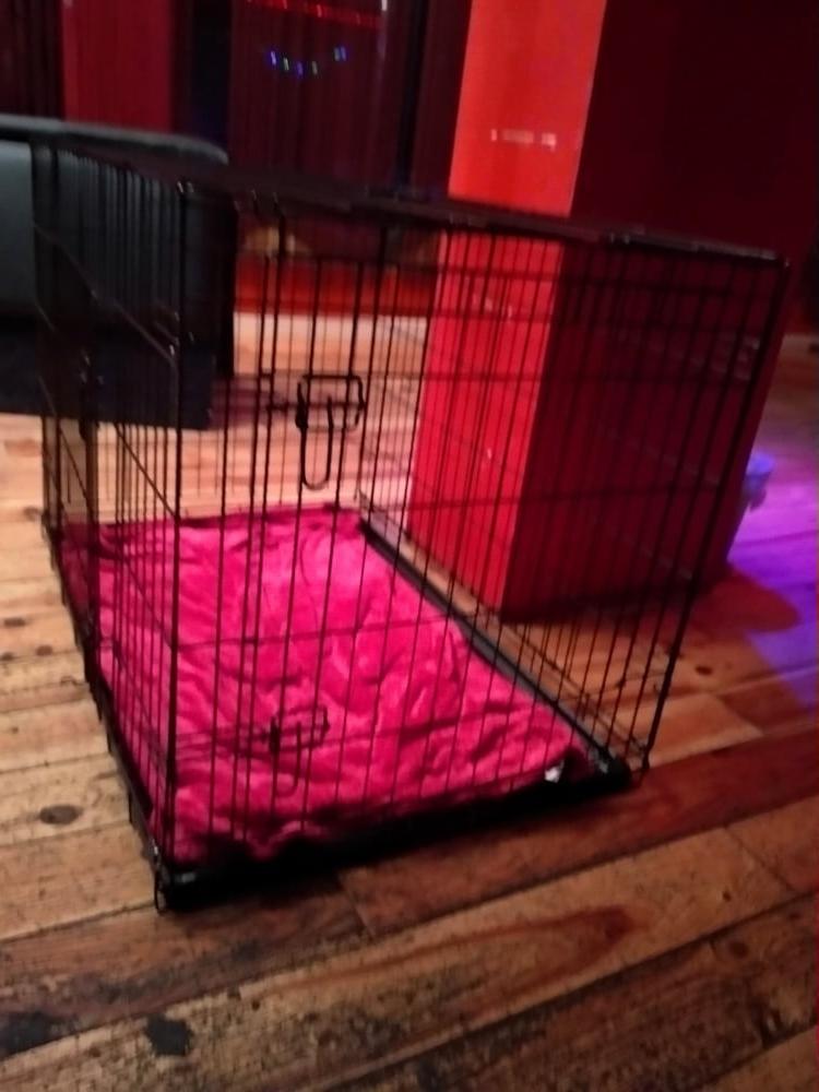 24P Cork Kink Club