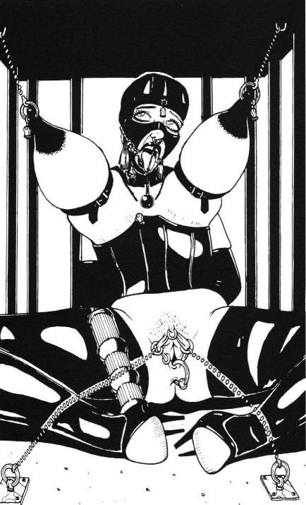 25P BDSM &amp; Bondage Artworks &amp; Comics 7