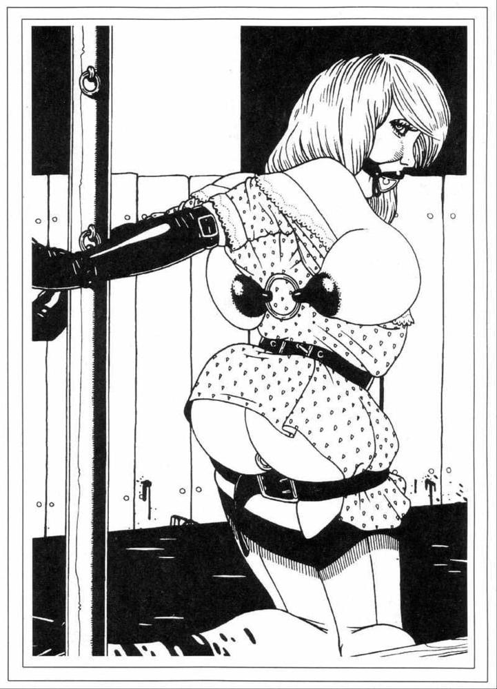 25P BDSM &amp; Bondage Artworks &amp; Comics 7