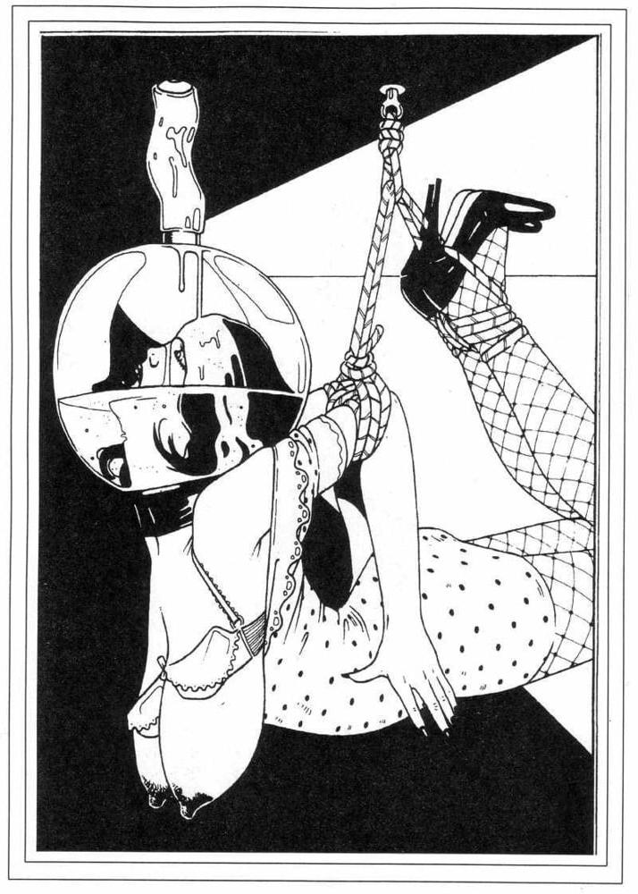 25P BDSM &amp; Bondage Artworks &amp; Comics 7