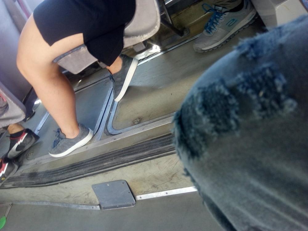 25P Bus