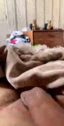 9P Mr: Edgar Hayrapetian masturbates on webcam in front of 8 ye