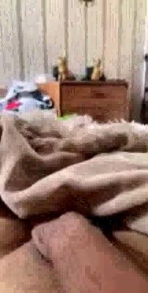 9P Mr: Edgar Hayrapetian masturbates on webcam in front of 8 ye