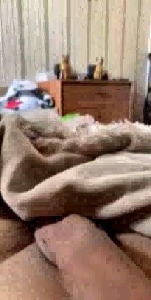 9P Mr: Edgar Hayrapetian masturbates on webcam in front of 8 ye