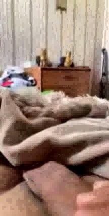 9P Mr: Edgar Hayrapetian masturbates on webcam in front of 8 ye