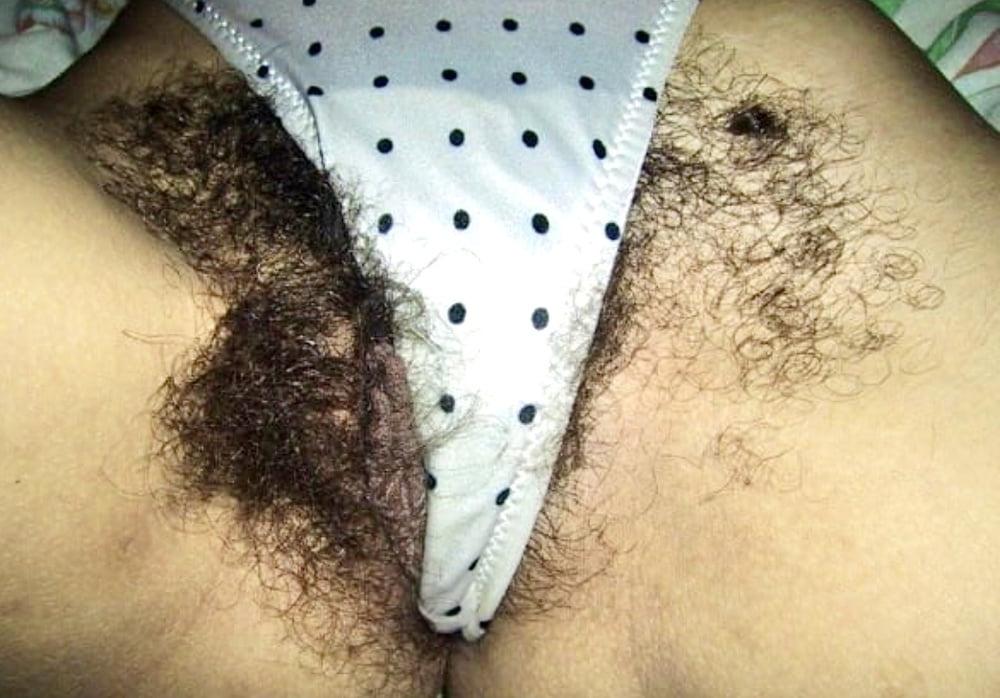 20P Very hairy Amateurs bush