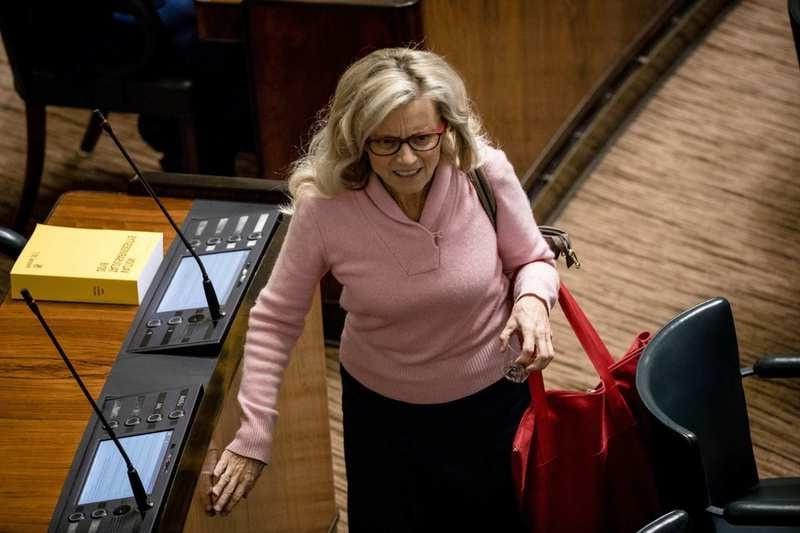 11P Finnish GILF politician Paivi Rasanen