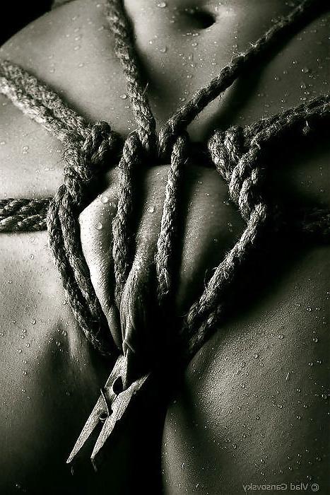 22P Bdsm.