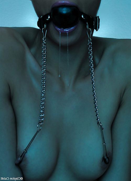 22P Bdsm.