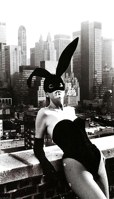 23P Bunny 3!