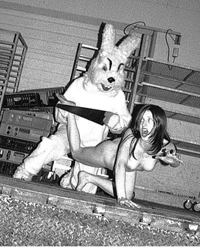 23P Bunny 3!