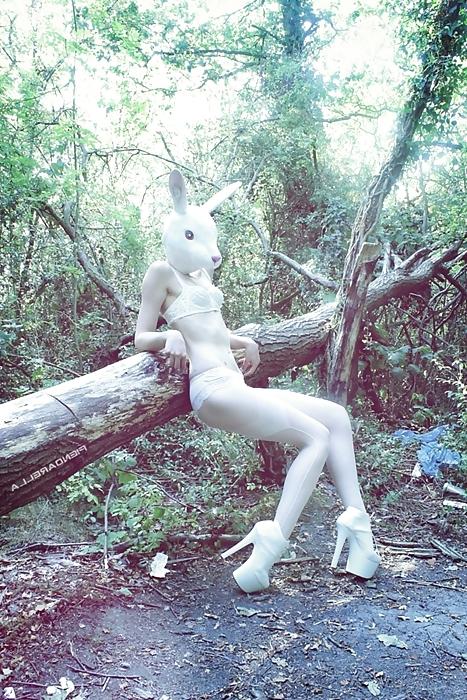 23P Bunny 3!