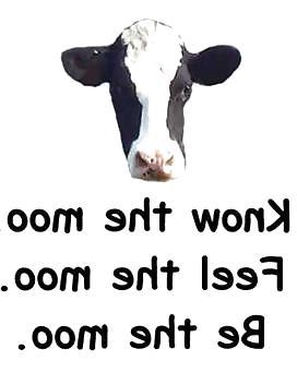 19P Milking lactation human animal cow farm moo