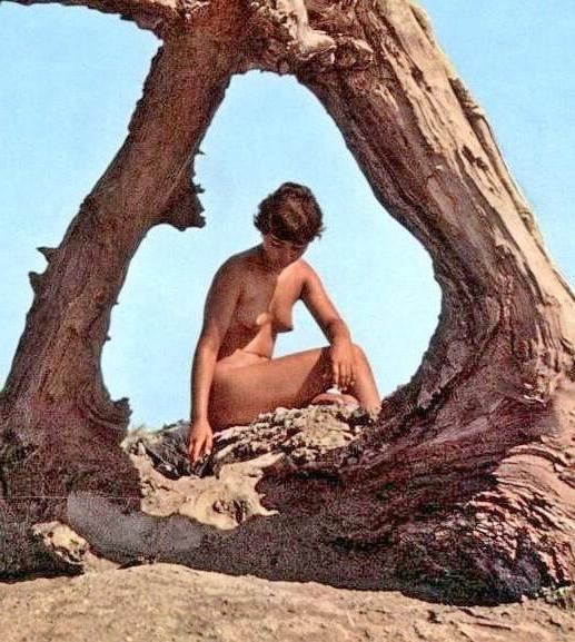 25P Thickasabricks Nudist 172