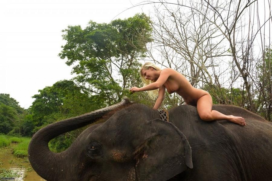 5P Foreign girl nude with an elephant in Sri lanka