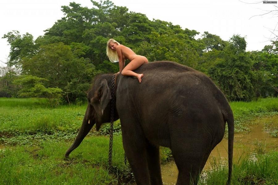 5P Foreign girl nude with an elephant in Sri lanka