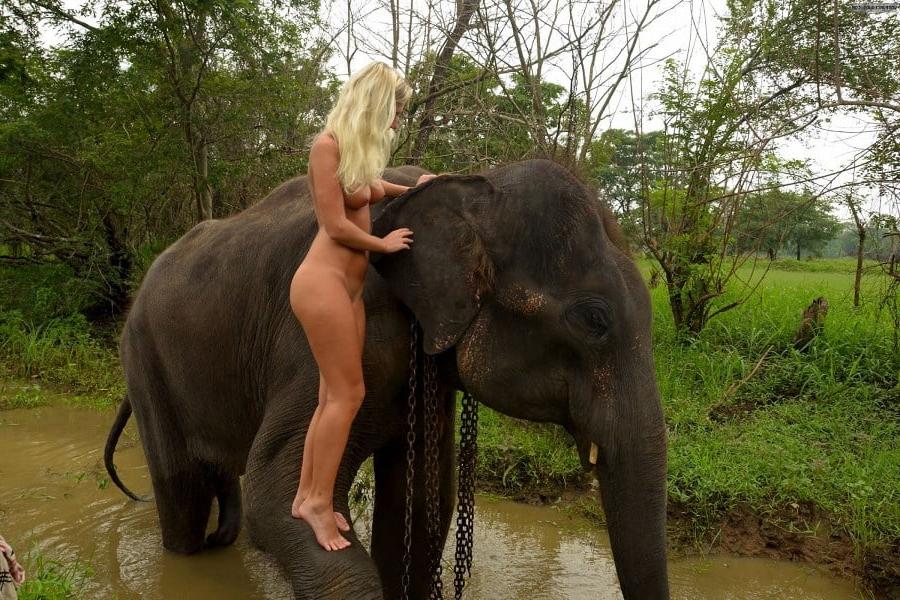 5P Foreign girl nude with an elephant in Sri lanka