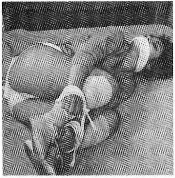 25P 70's and 80's BDSM Porn