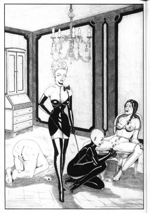 25P BDSM &amp; Bondage Artworks &amp; Comics 6