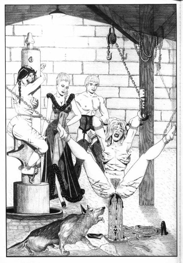 25P BDSM &amp; Bondage Artworks &amp; Comics 6
