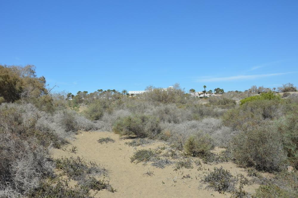 10P Gran Canaria Nude Beach mix .