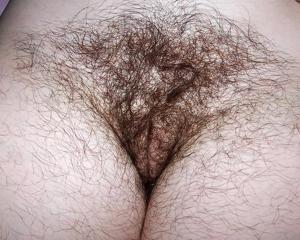 13P Hairy housewife from down under showing her bush