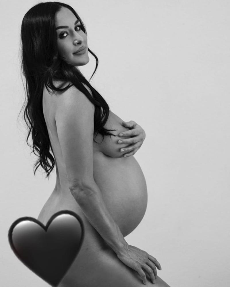 14P Nikki and Brie Bella nude pregnancy photoshoot
