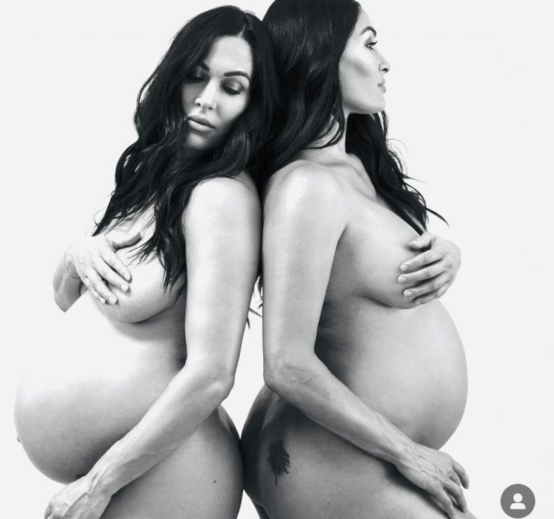 14P Nikki and Brie Bella nude pregnancy photoshoot