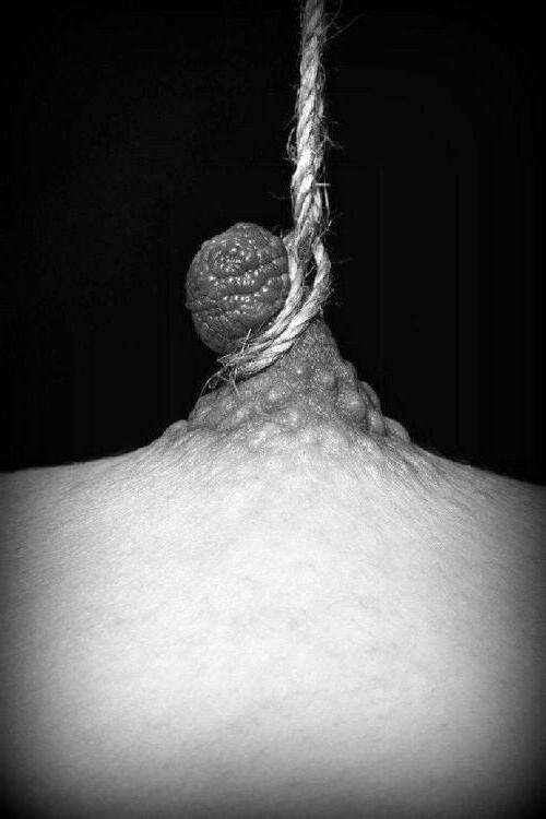 19P BDSM-Träume