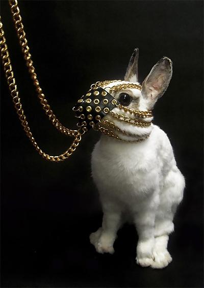 21P Bunny 4!