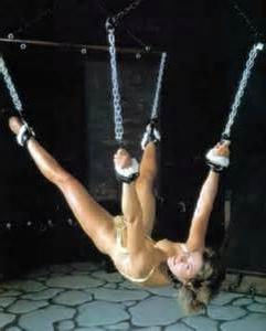 25P BDSM Collection 5