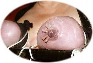25P BDSM Collection 5