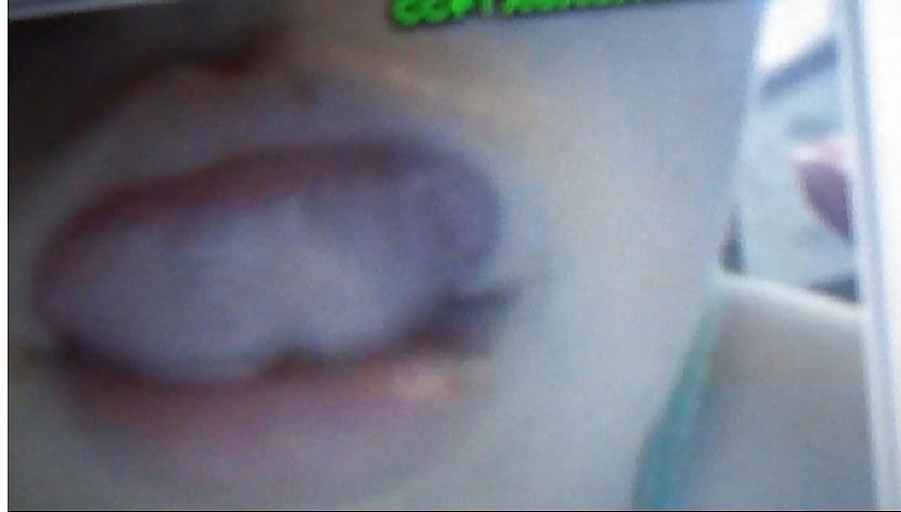 13P Teen Webcam Masturbation