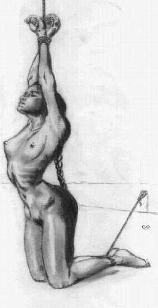 25P BDSM &amp; Bondage Artworks &amp; Comics 3