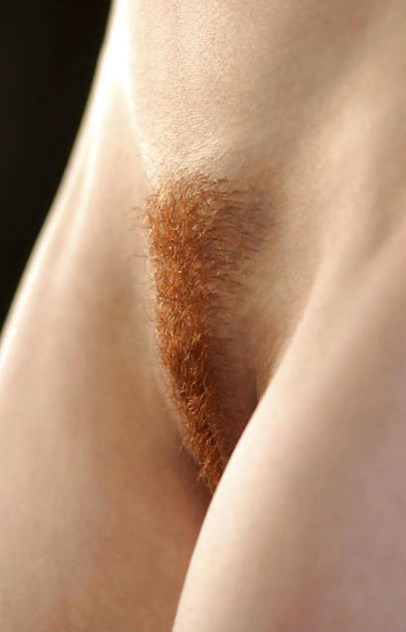 25P REDHEADS & HOT HAIRY RED BUSH