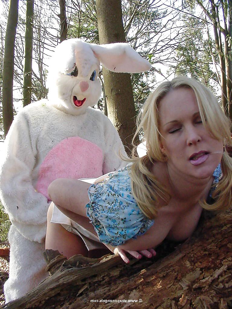 22P Hase!