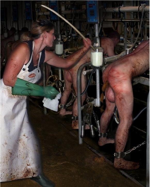 25P BDSM milking  man