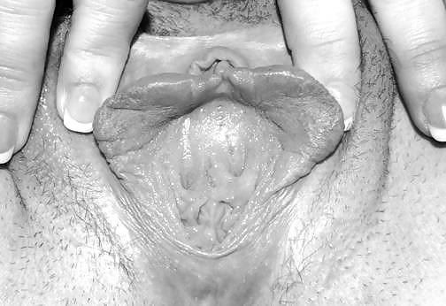 12P Hometown Slut - Bunny