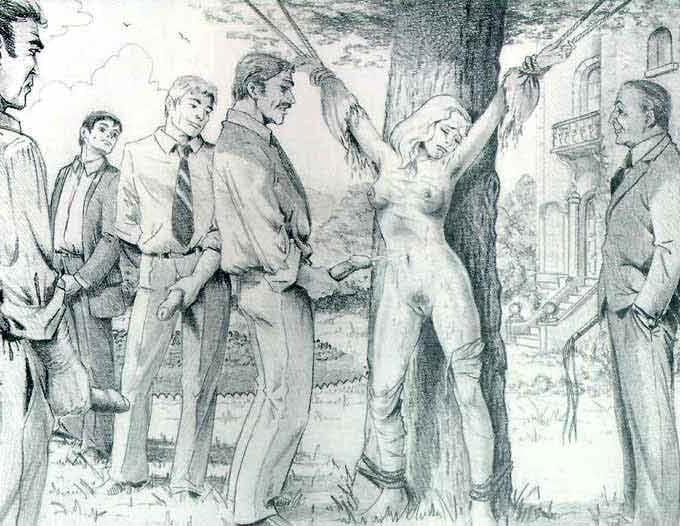 25P BDSM &amp; Bondage Artworks Comics 2