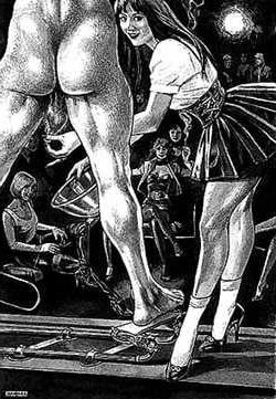 25P BDSM &amp; Bondage Artworks Comics 2
