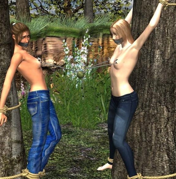 25P BDSM - 3D and cartoon collection 01