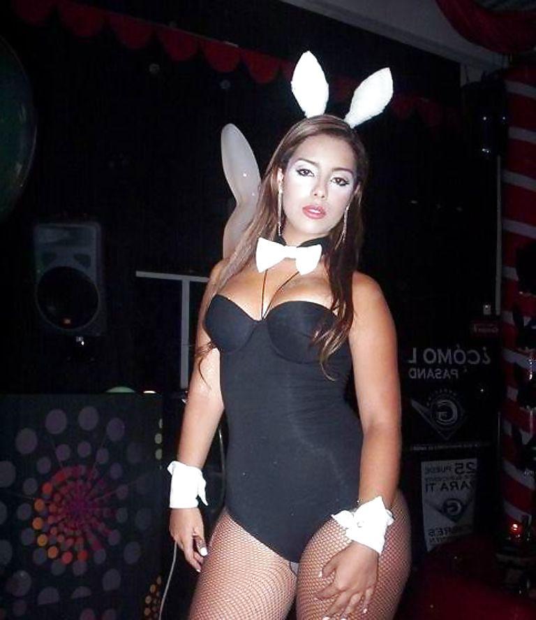 24P Bunny babes