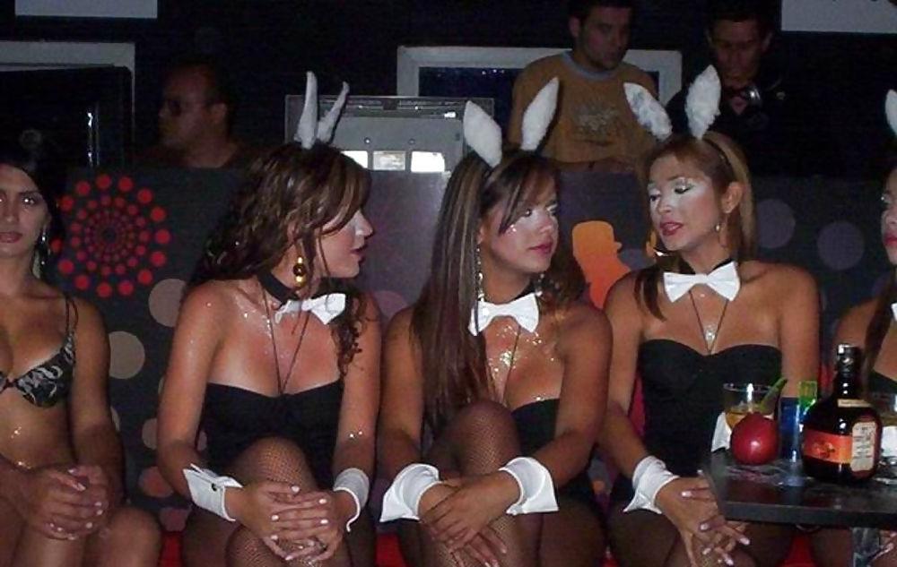24P Bunny babes