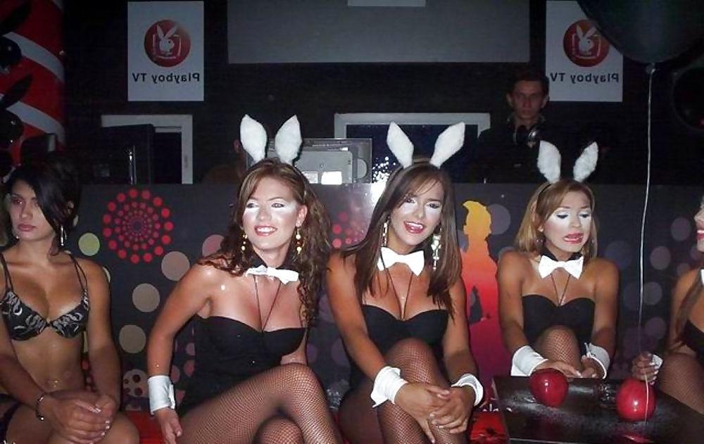 24P Bunny babes