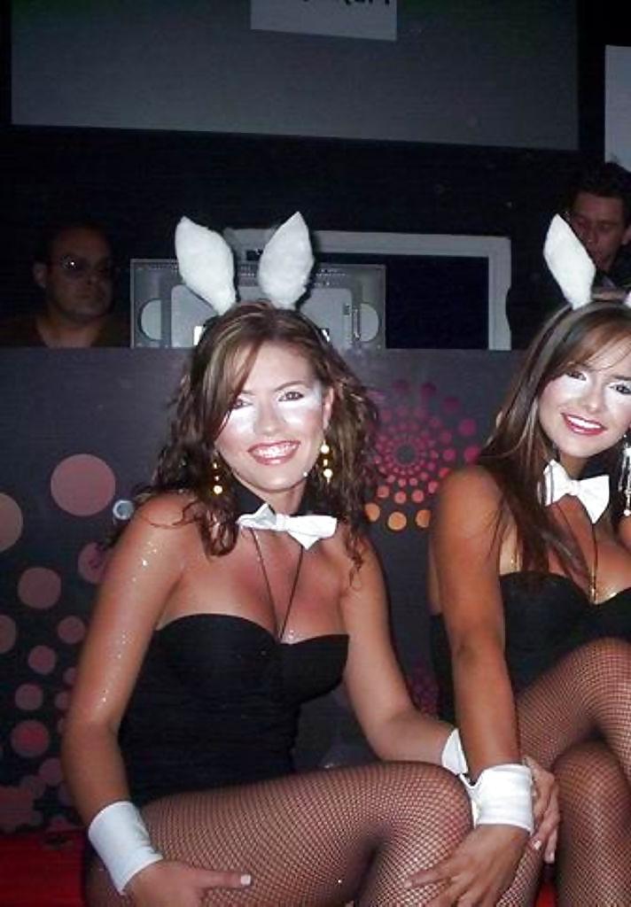 24P Bunny babes
