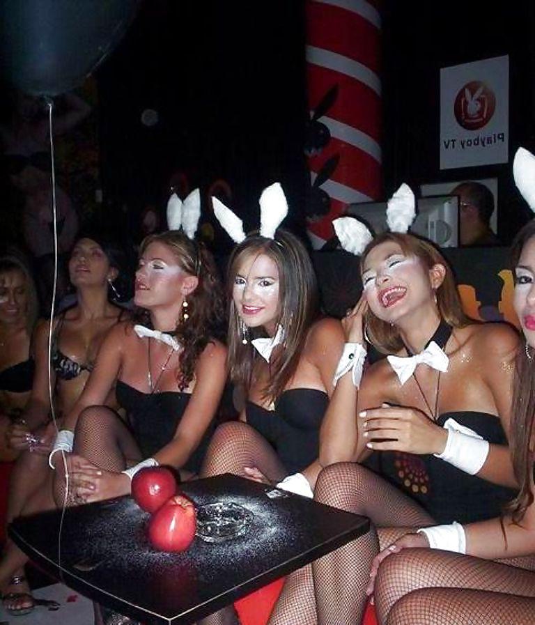 24P Bunny babes
