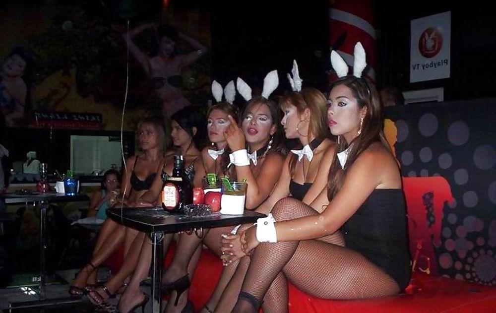24P Bunny babes