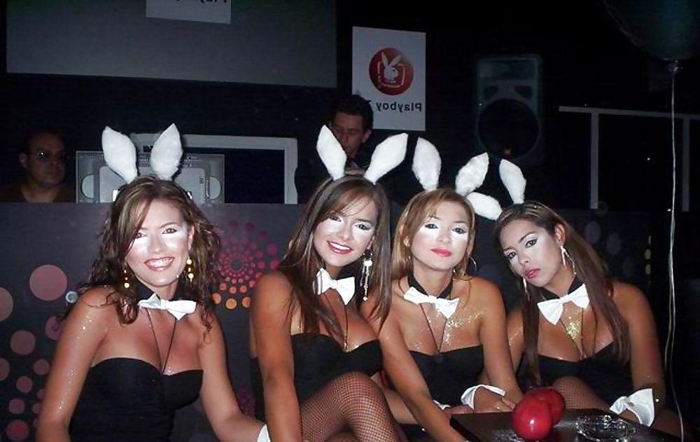 24P Bunny babes