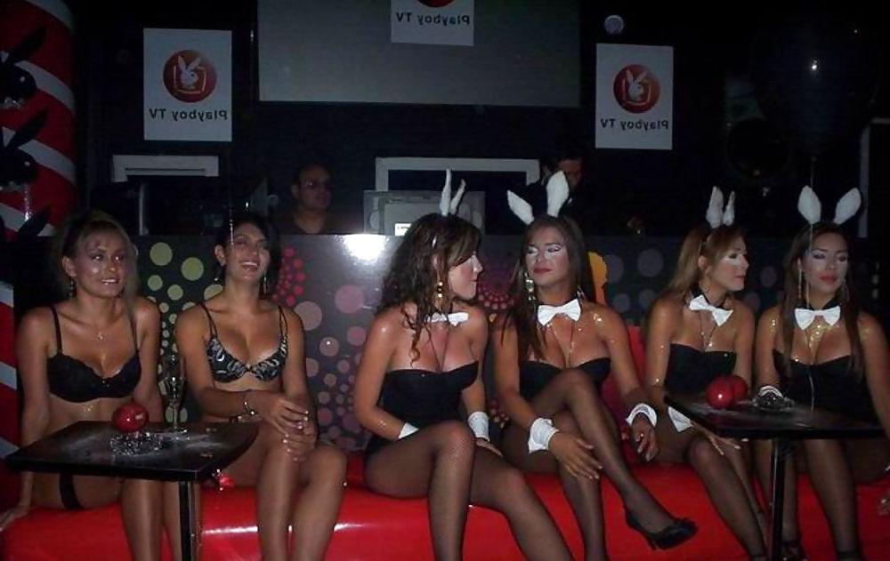 24P Bunny babes