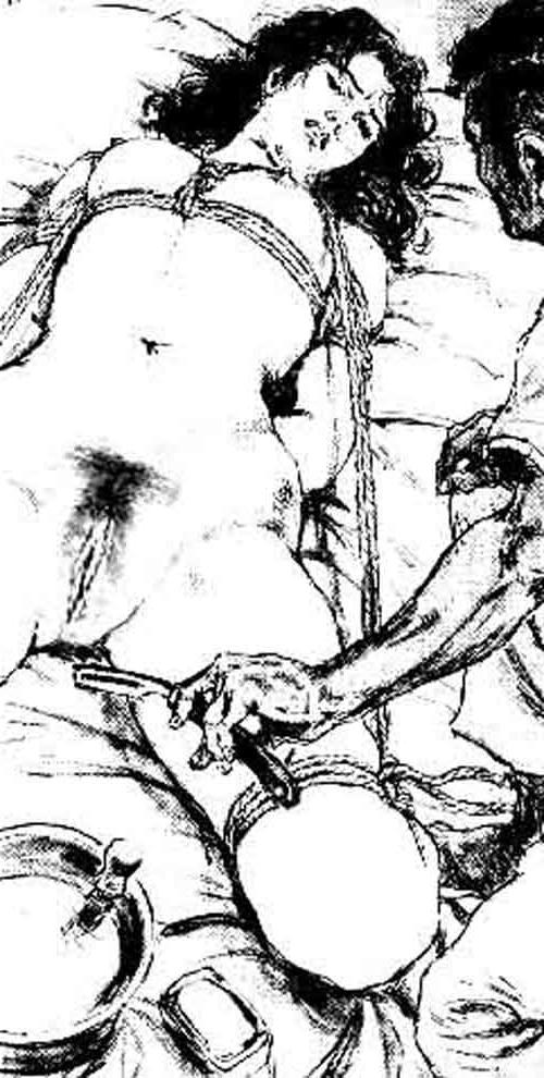 24P Comics BDSM &amp; Bondage Japanese 2